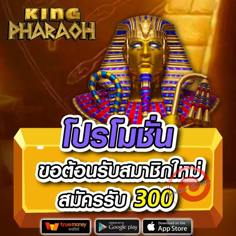 zgame ทางเข้า